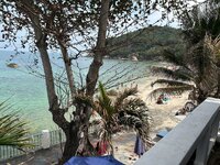 IMG_2449.jpeg