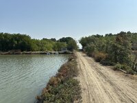 IMG_4664.jpeg