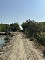 IMG_4646.jpeg