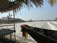 IMG_4748.jpeg