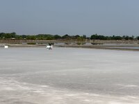 IMG_4798.jpeg