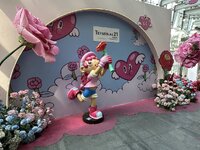 IMG_5217.jpeg