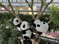 IMG_5238.jpeg