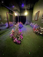 IMG_5276.jpeg
