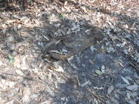 DSCN1594.JPG