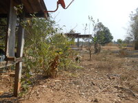 DSCN1605.JPG