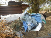 DSCN1609.JPG