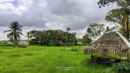 Sukjai Land-5.jpg