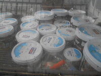 DSCN1625.JPG