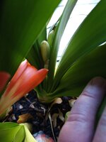 IMG_20250406_145613_542.jpg
