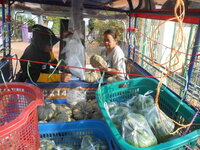 DSCN1542.JPG
