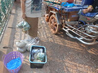 DSCN1554.JPG
