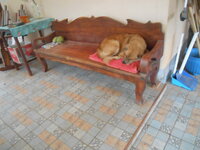 DSCN1629.JPG