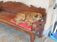 DSCN1631.JPG
