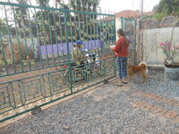 DSCN1652.JPG