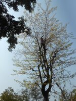 DSCN1703~2.JPG