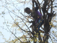 DSCN1722.JPG