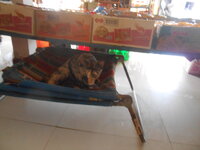 DSCN1867.JPG