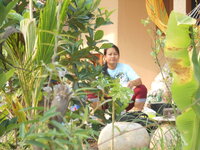 DSCN0440.JPG