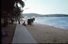 pattaya_1977.jpg