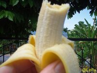 banane_3_kopie.jpg