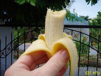 banane_4_kopie.jpg