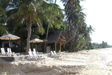cimg0311.jpg