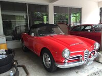 Giulia Spider 1.jpg