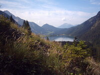 alpsee.jpg