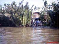 klong-87_11.jpg