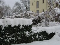 schnee1.jpg