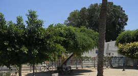 djerba4.jpg