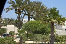 djerba5.jpg