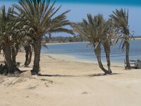 djerba7.jpg