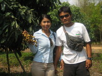 pattaya_obstfarm._026.jpg