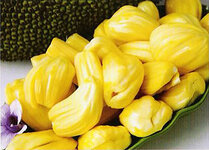 jackfruit2.jpg