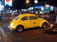 beetle_53.jpg