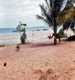 pattaya_beach2.jpg