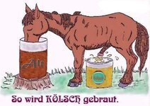 koelsch01.jpg