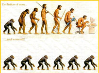 evolution01.jpg