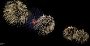 feuerwerk_0106.jpg