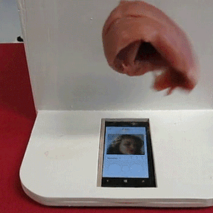 Touchscreen