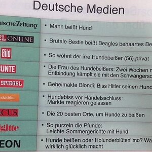 Deutsche Medien