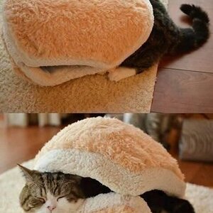 Catburger