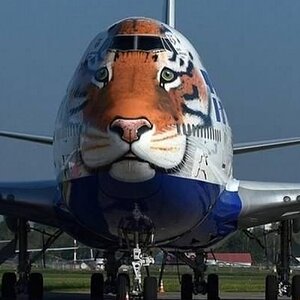 Tigerflieger