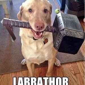 Labrathor