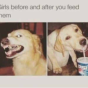 Girlsfeed