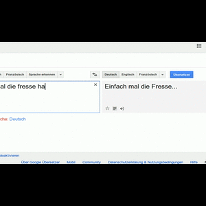 GoogleUebersetzer
