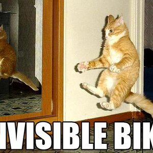 Cat-Bike