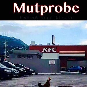 Mutprobe